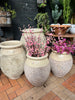Urn Olive Jar Ivory smooth patina H70 D54