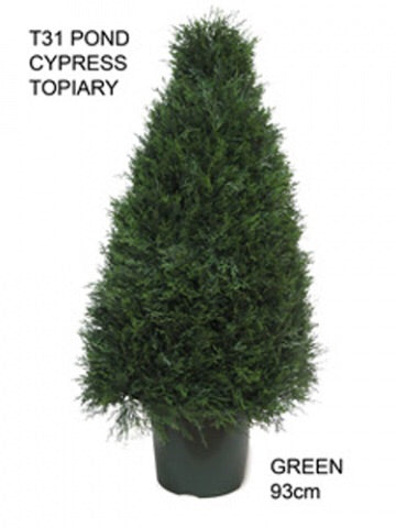 Topiary in pot Cone