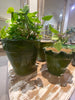 Planter green H27