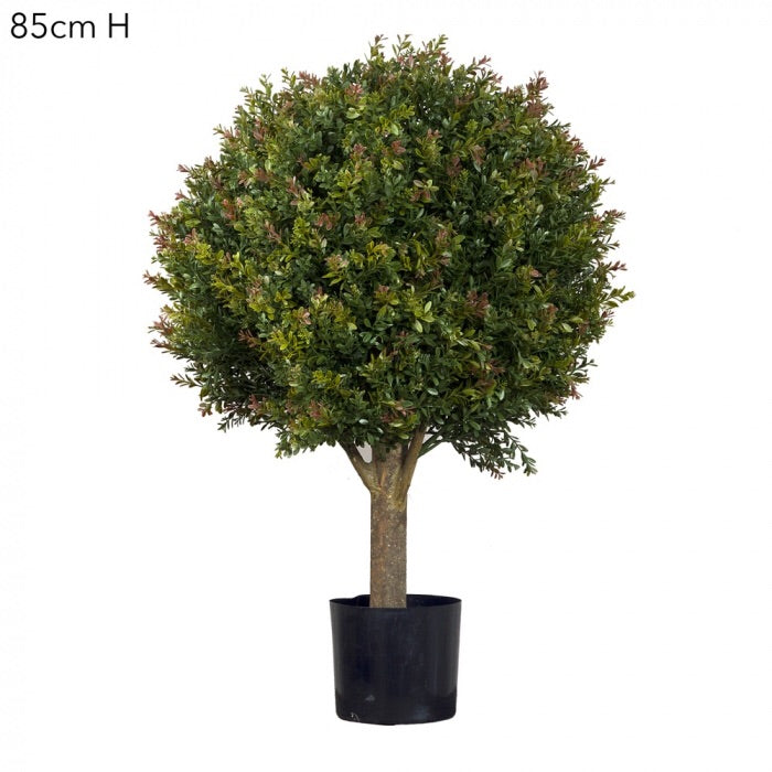 Topiary Leaf ball tree