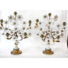 Candelabra blossom Pair