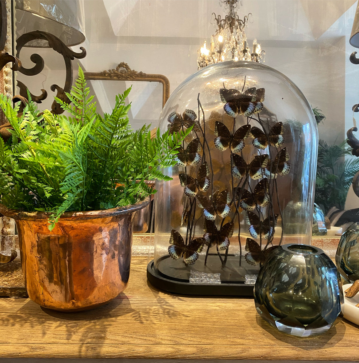 Glass dome butterflies large