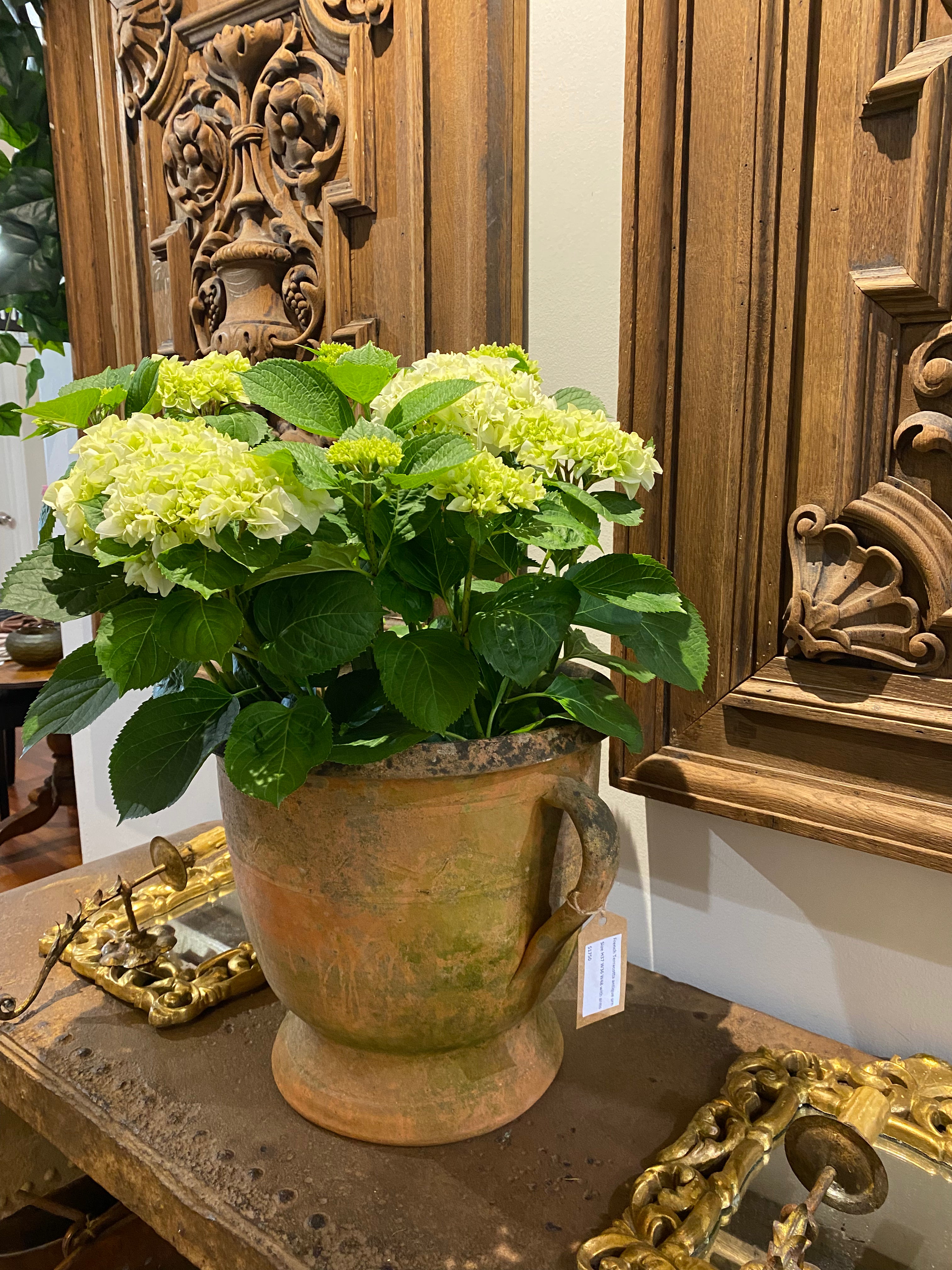 Urn French terracotta