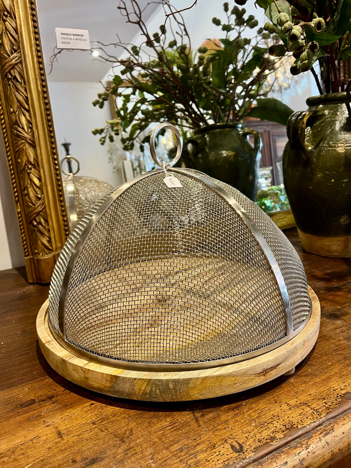 Board with mesh dome cover