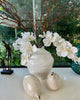 Vase urn white ceramic