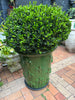 Pair Planters fleur de lys H110