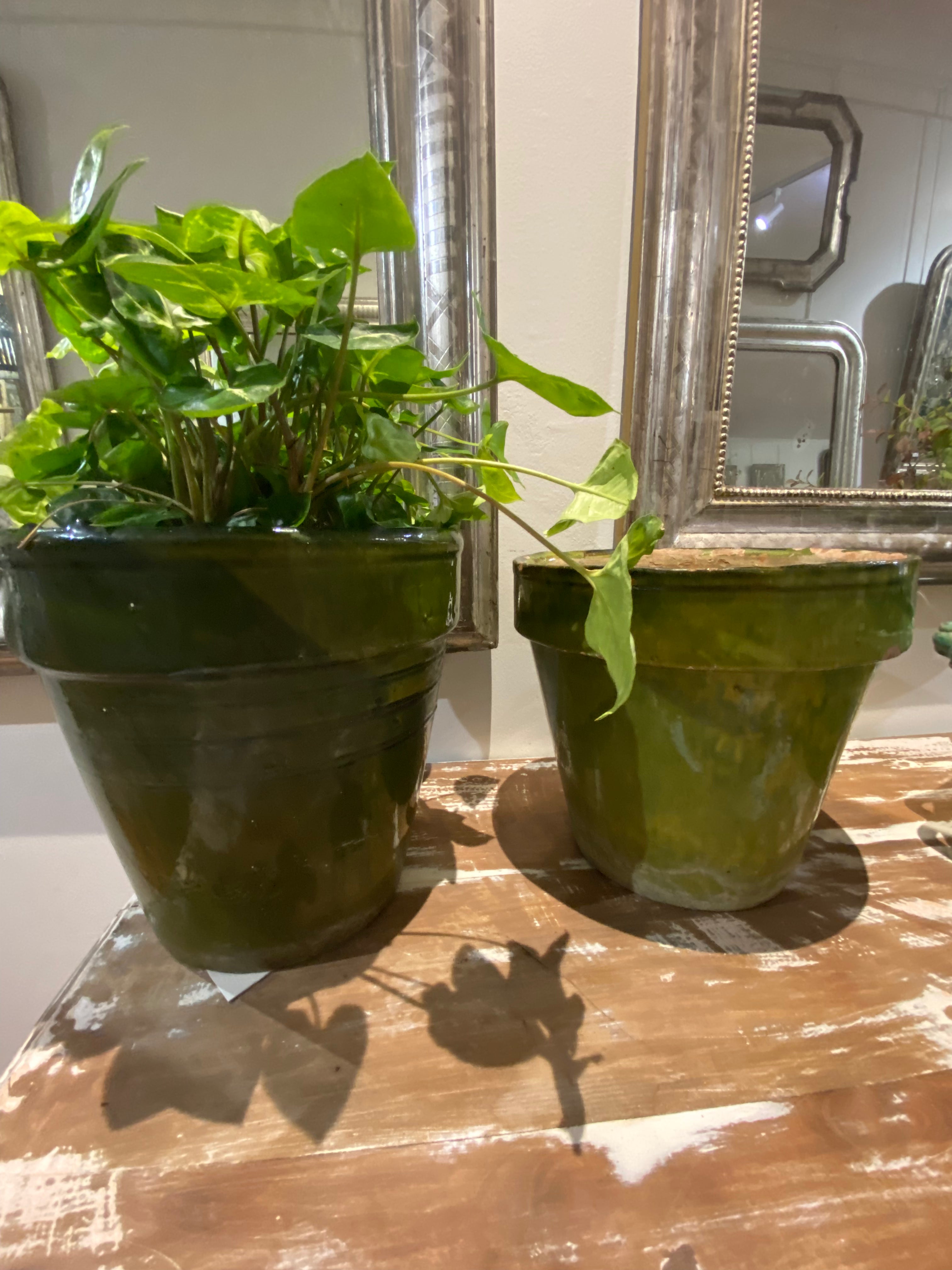 Green Planter H24.5