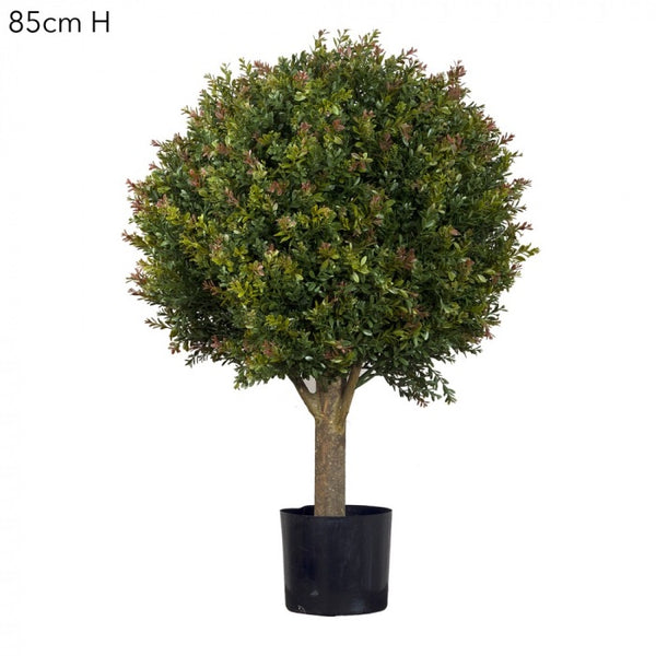 Topiary Leaf ball tree