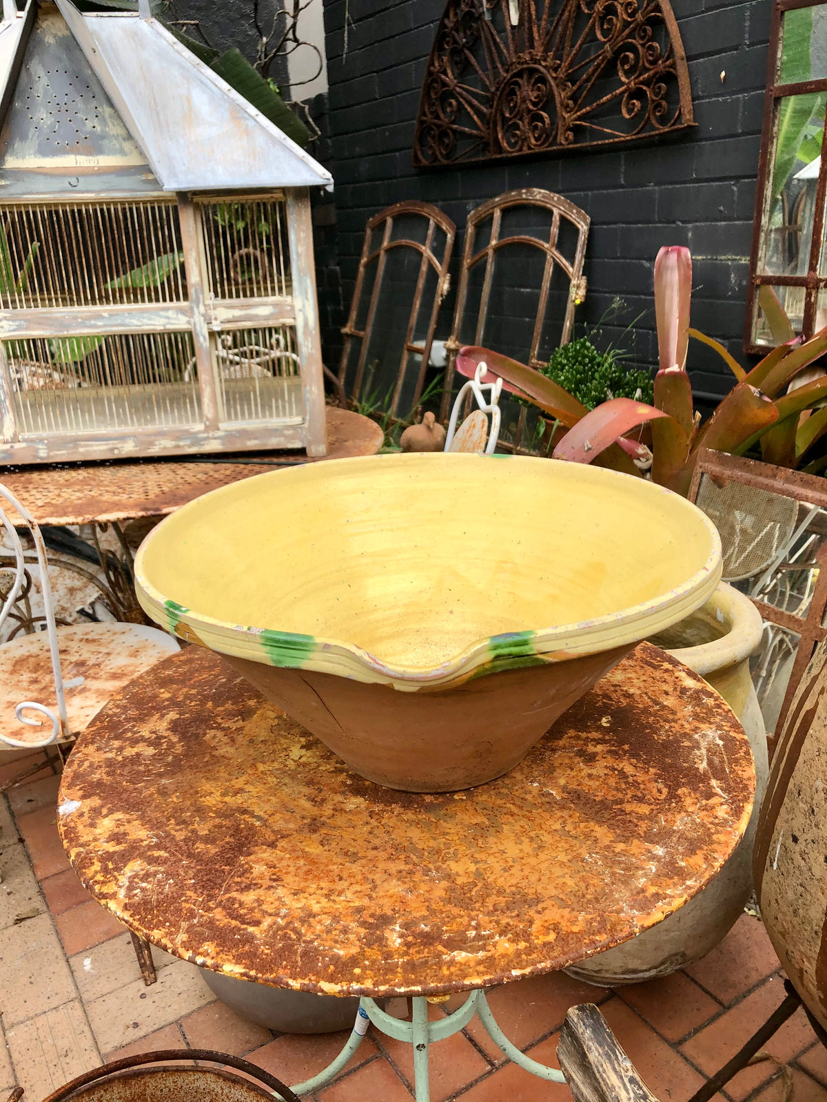 ✅Bowl Provençal
