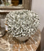 Vase ceramic coral