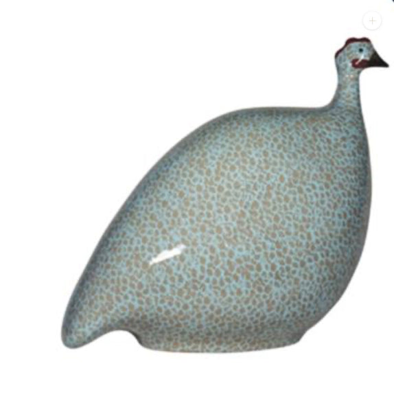 Guinea fowl torquoise large