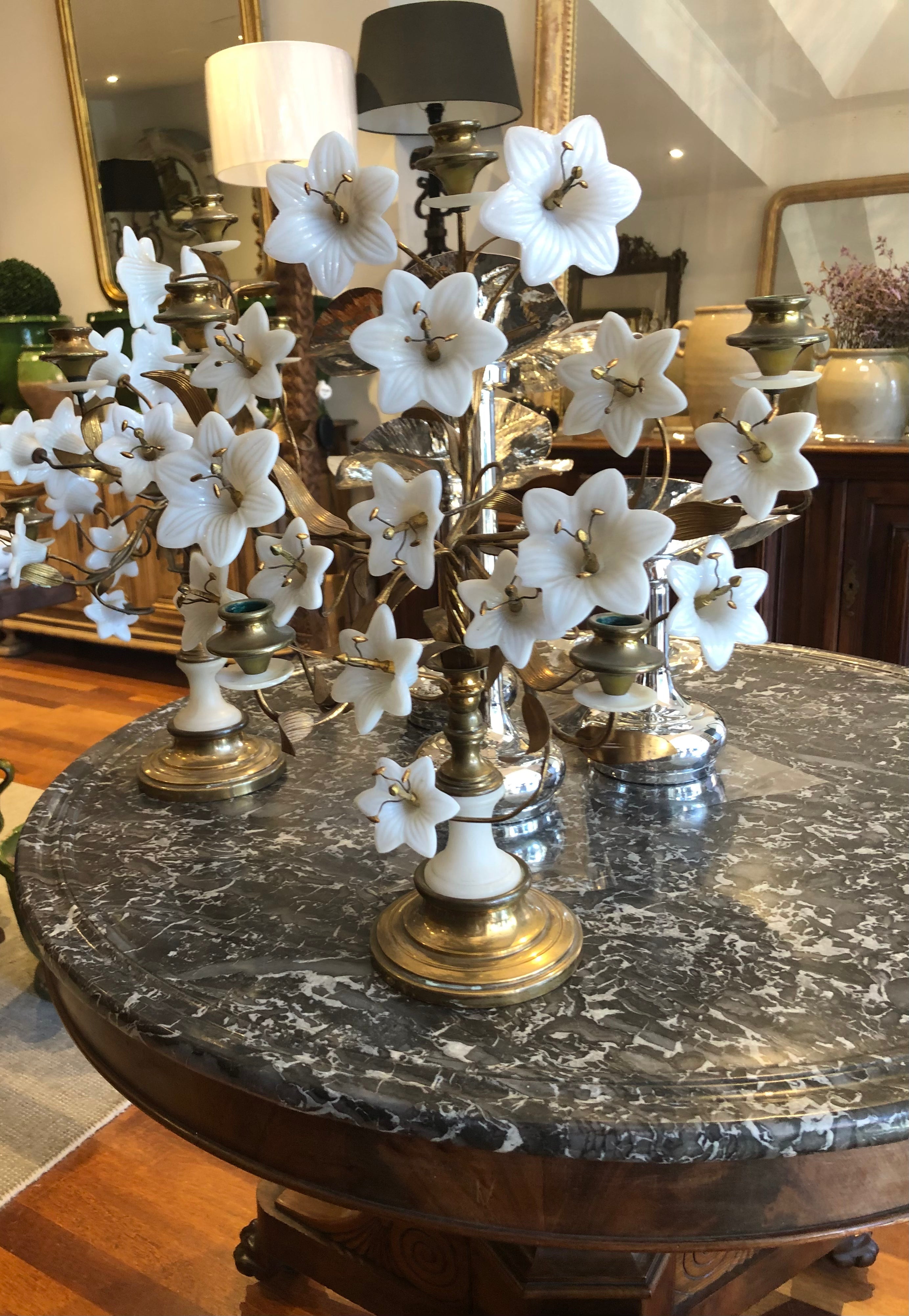 Candelabra blossom