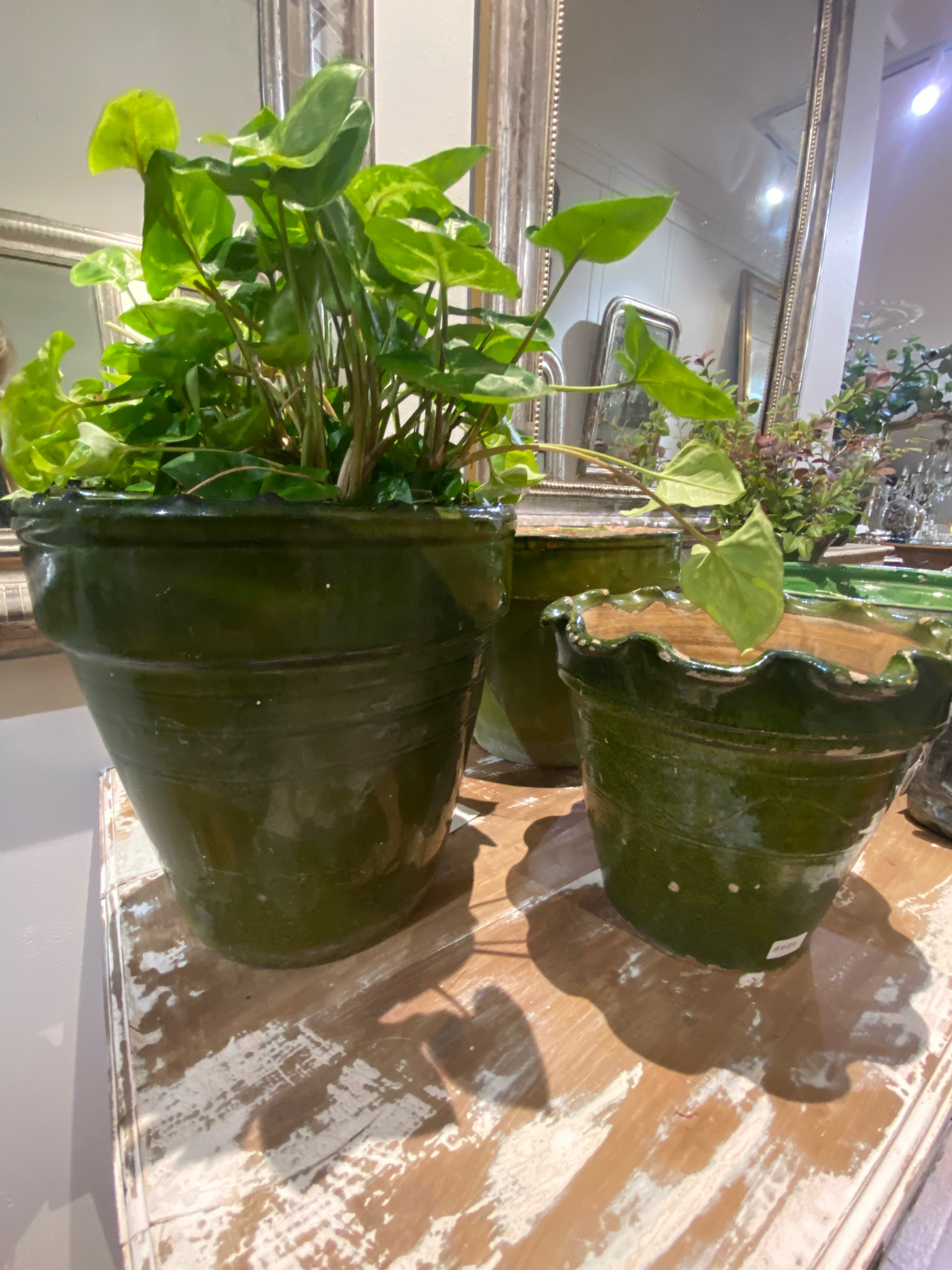 Green Planter H24.5