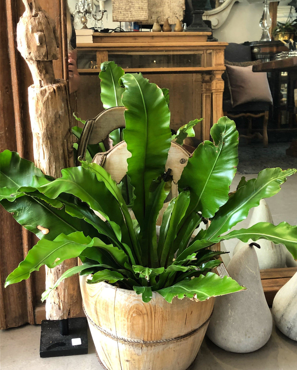 Timber water bucket