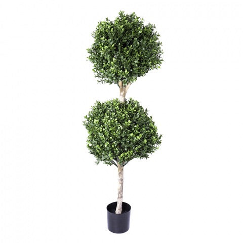 Topiary double ball tree